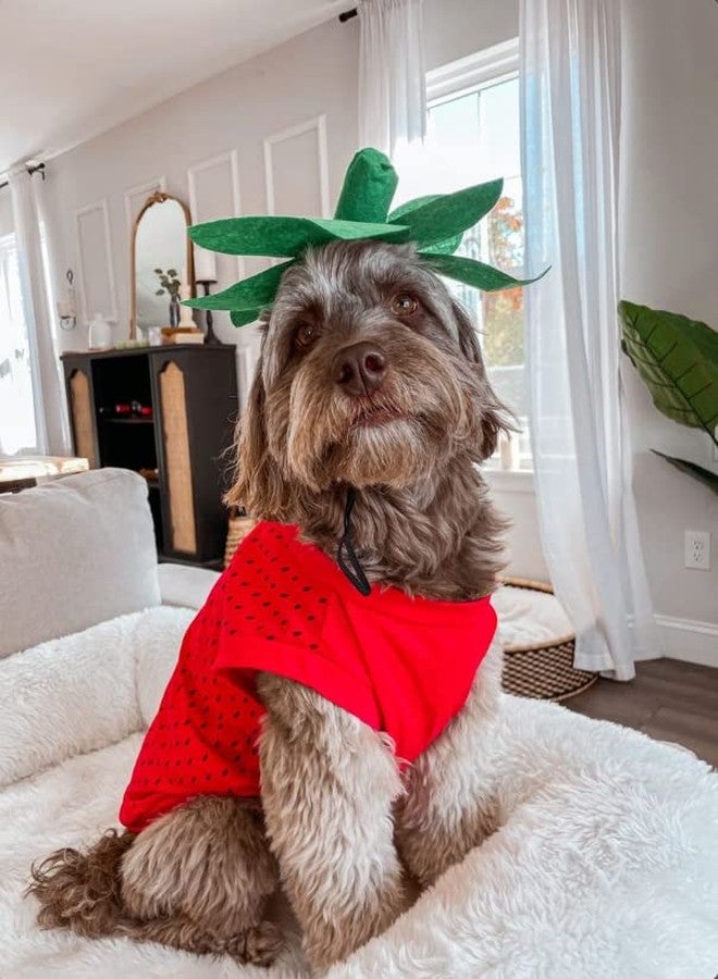 Midlee Strawberry Halloween Dog Costume (X-Large) - Image 5